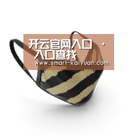 成人布口罩