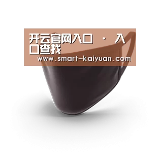 成人布口罩