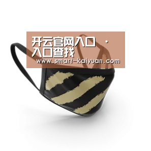 成人布口罩