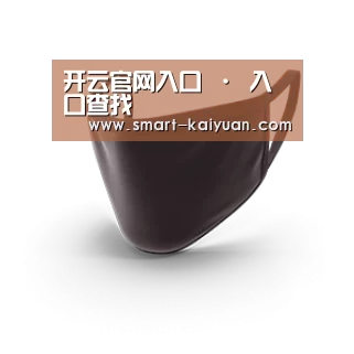 成人布口罩
