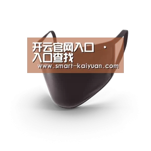 成人布口罩