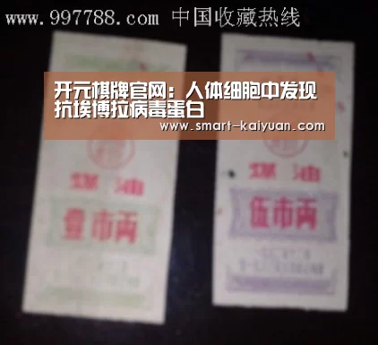 开元棋牌官网：人体细胞中发现抗埃博拉病毒蛋白