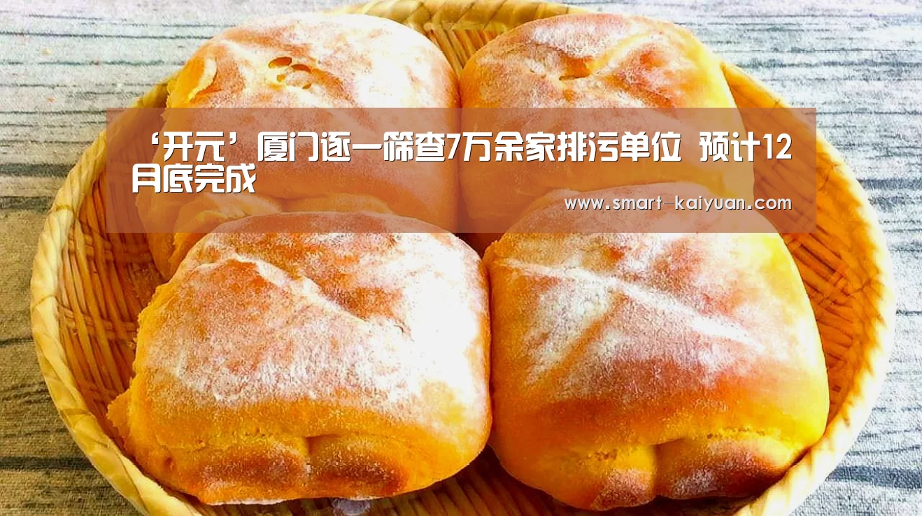 ‘开元’厦门逐一筛查7万余家排污单位 预计12月底完成