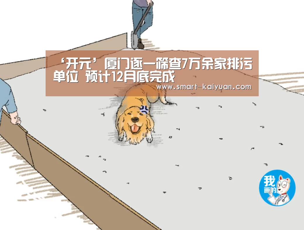 开云体育APP