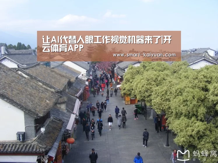 让AI代替人眼工作视觉机器来了|开云体育APP