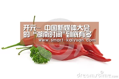 开元-
中国新媒体大会的“湖南时间到底有多热?(图5) 开元