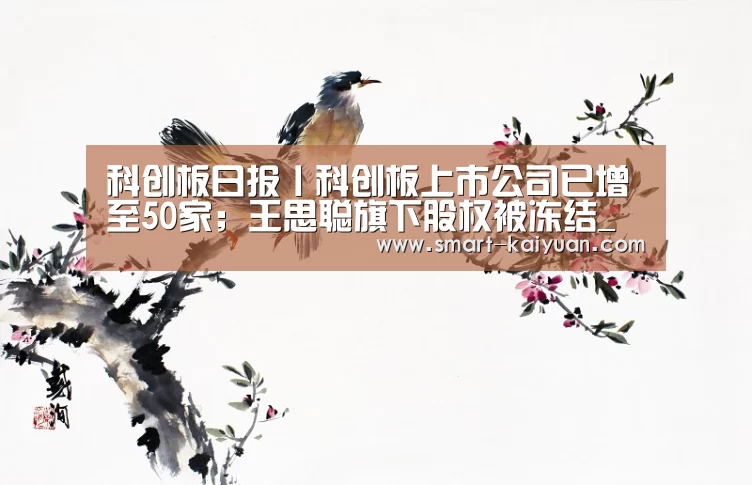 开云体育APP