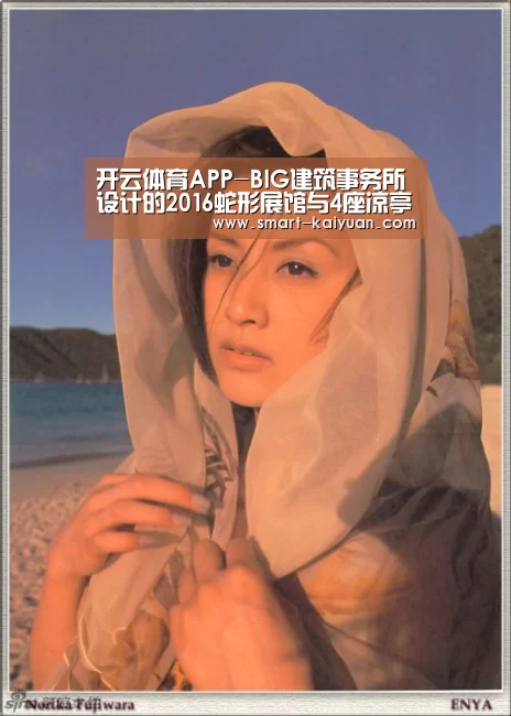 开云体育APP-BIG建筑事务所设计的2016蛇形展馆与4座凉亭开放