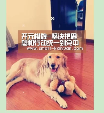 开元棋牌-坚决把思想和行动统一到党中央决策部署上来_时事政治_中公教育网