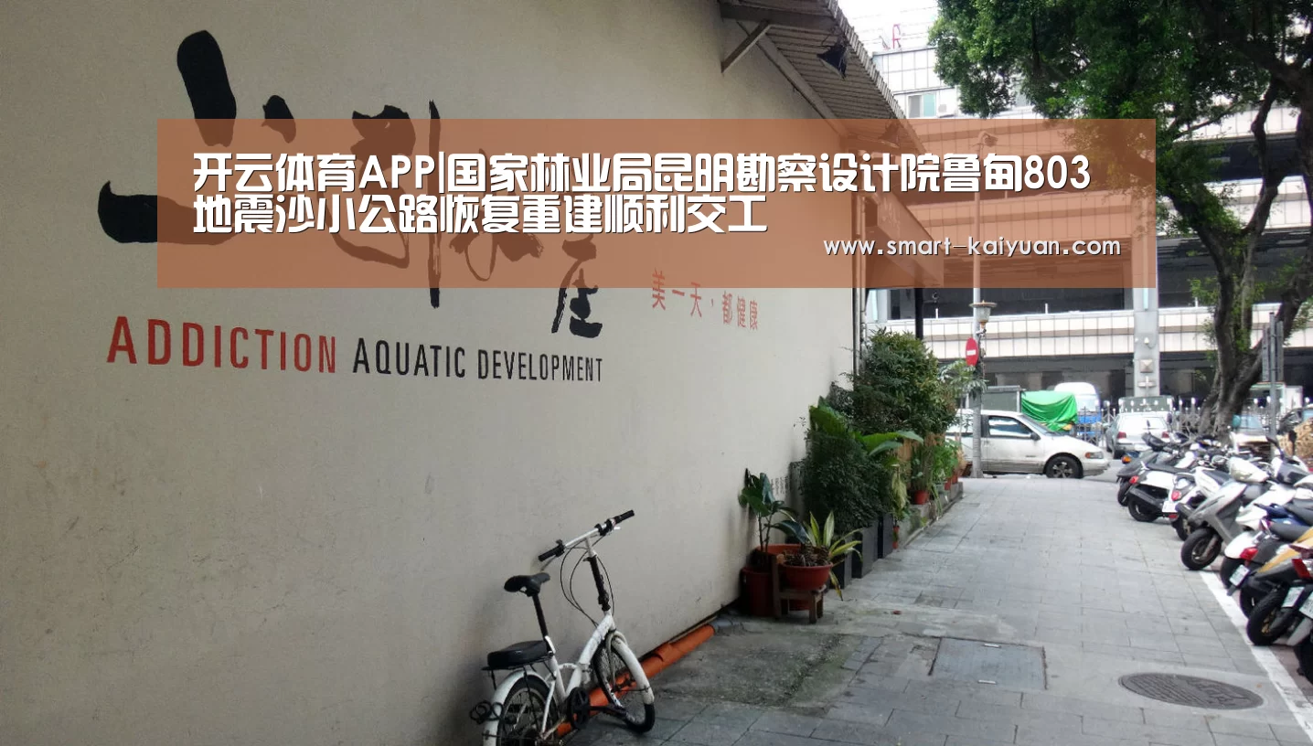 开云体育APP|国家林业局昆明勘察设计院鲁甸803地震沙小公路恢复重建顺利交工