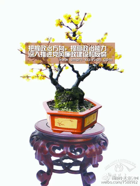 把握政治方向，提高政治能力深入推进党风廉政建设和反腐败斗争‘开元棋牌官网’