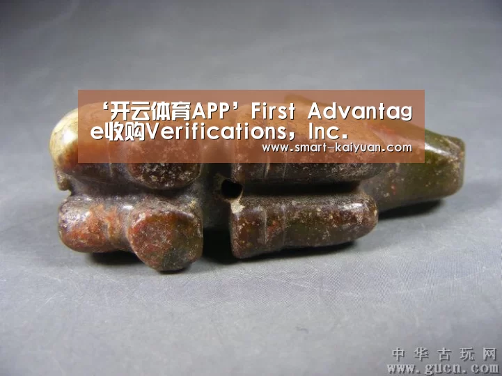 ‘开云体育APP’First Advantage收购Veri